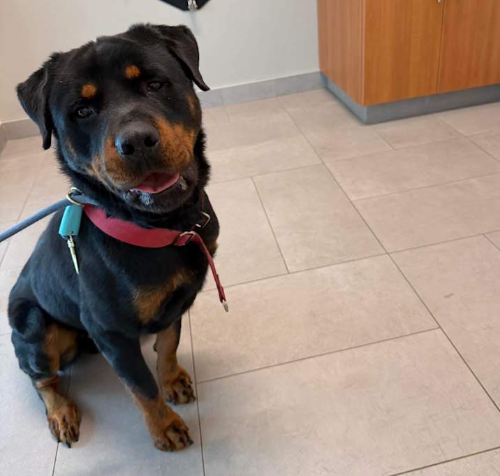 Photo of Benny (FKA Cash