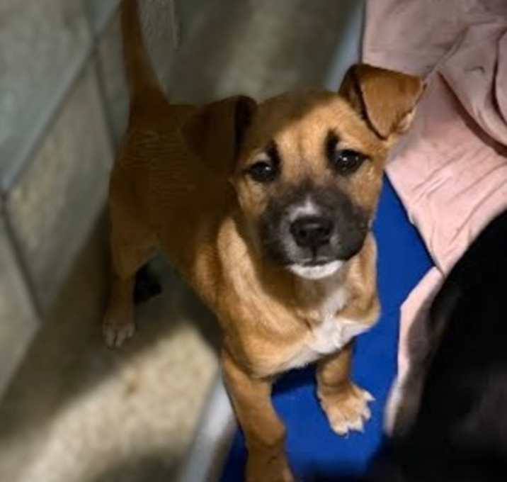 Photo of Merriwether