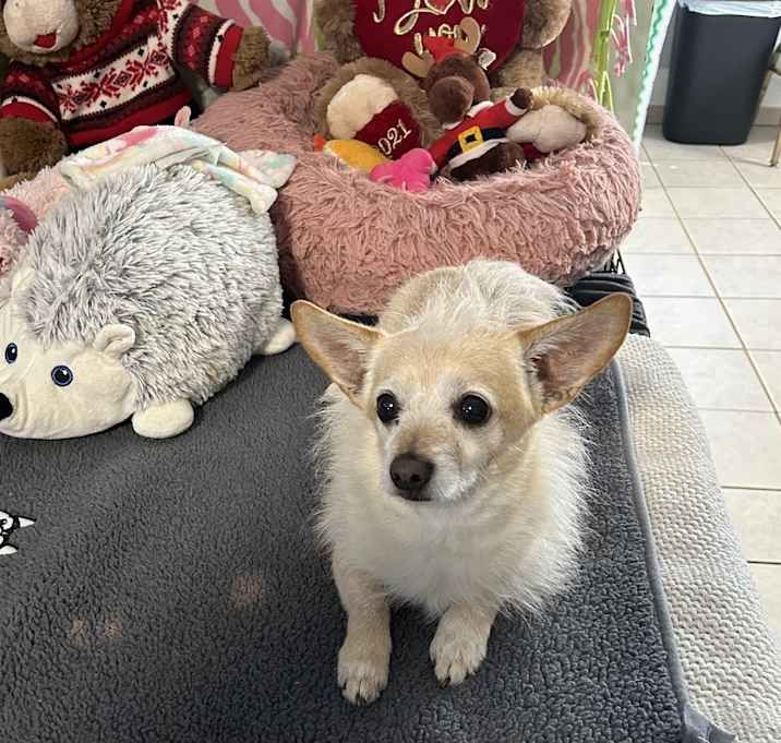 Photo of Travis Barker