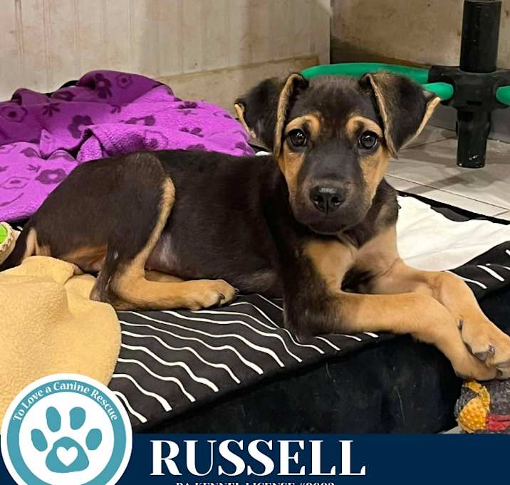 Photo of Russell 120625