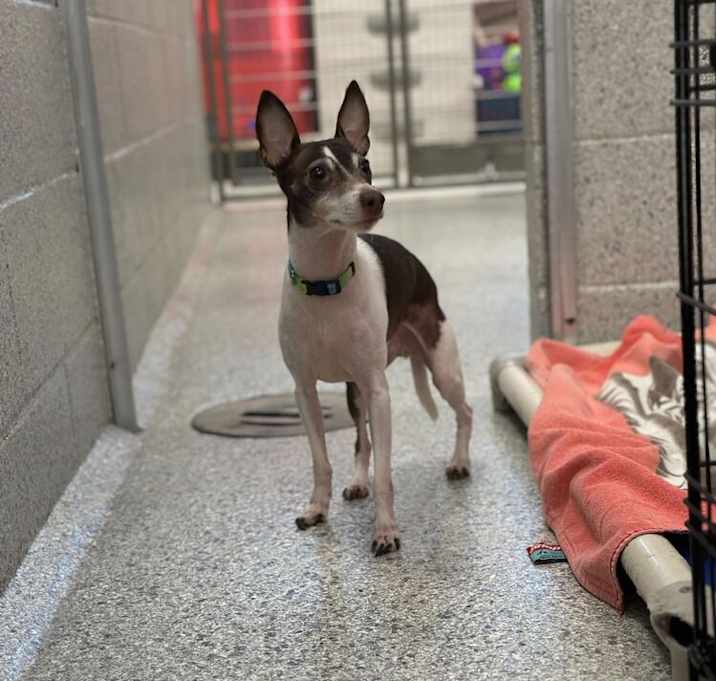 Photo of Wayne the Wizard