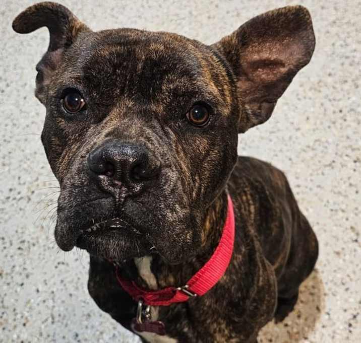 Photo of Harvey Wishbone