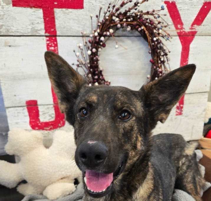 Photo of Roxxi Yrly 474