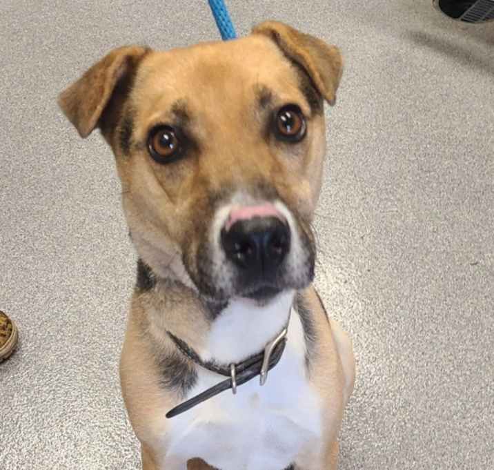 Photo of Tussell Yrly 493