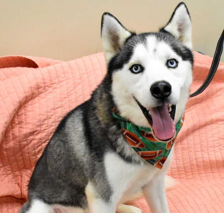 Photo of Mika  *Sponsored Adoption