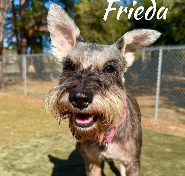 Photo of Frieda