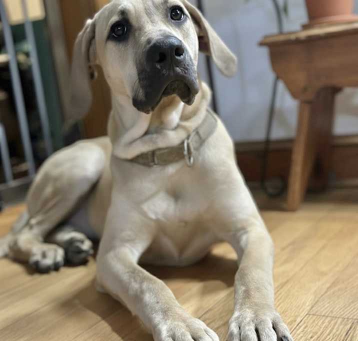 Photo of Sweet Baby in CT