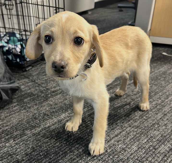 Photo of Chrissy Eve