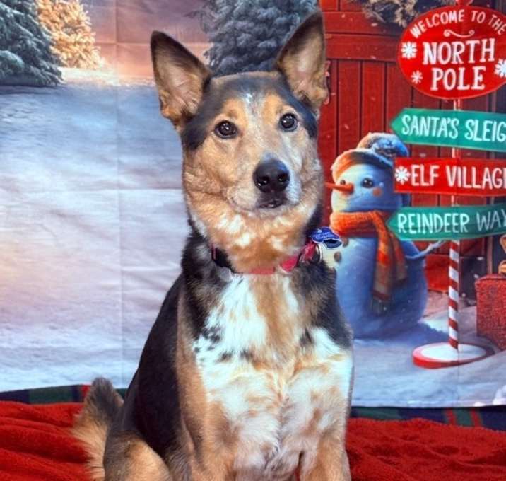 Photo of Elvin (aka Badger)