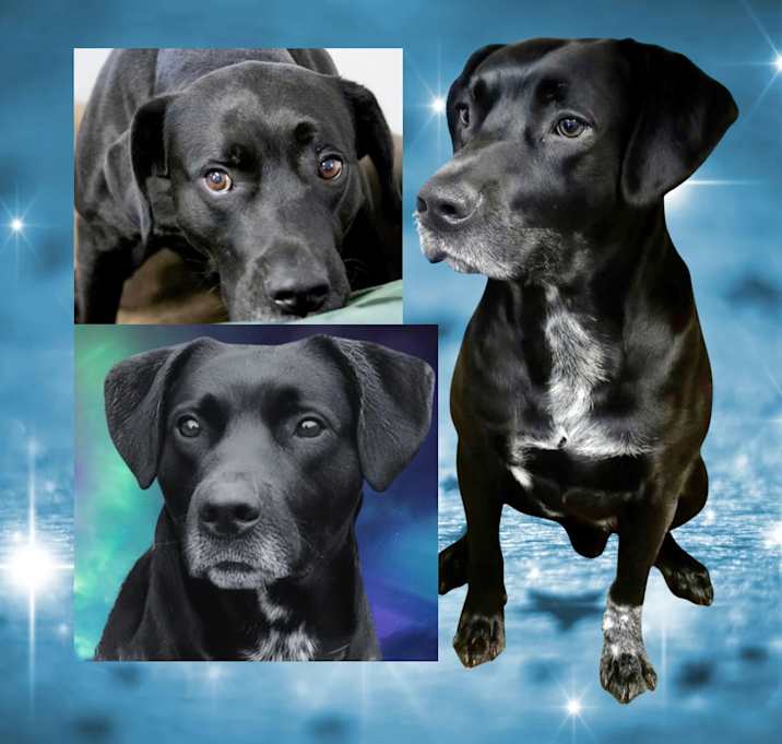 Photo of Duke Silver