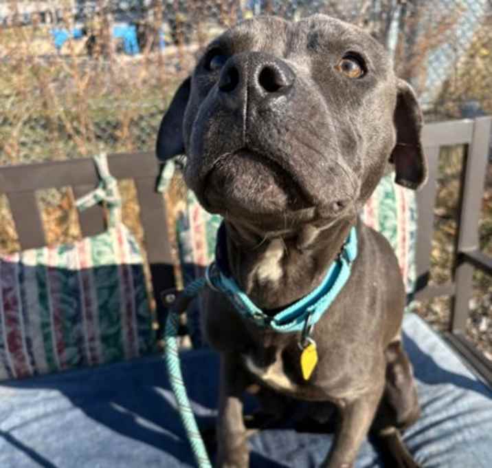 Photo of Crumpet III 3