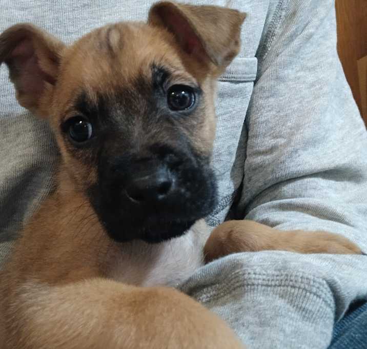 Photo of Breakfast Jack