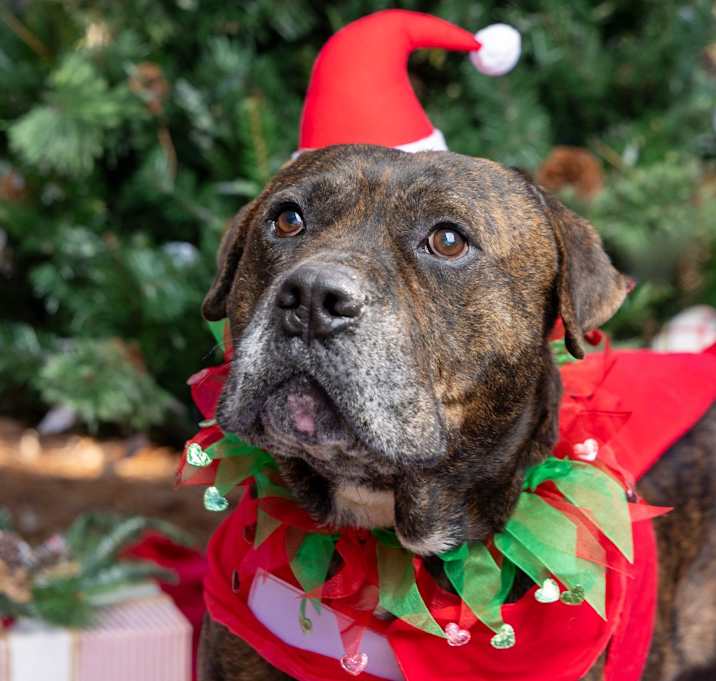 Photo of Ol'Man Cletus