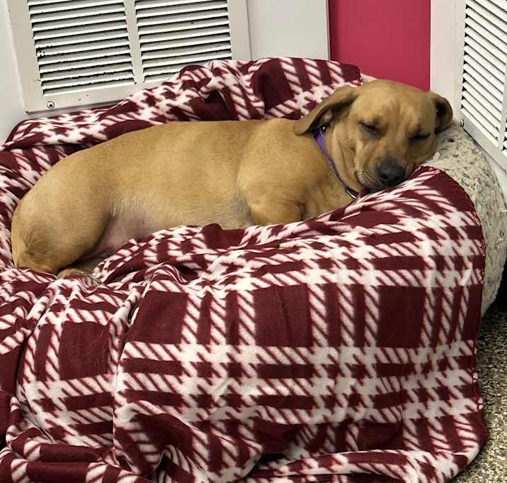 Photo of Penelope Joy