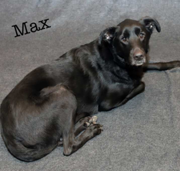 Photo of Max