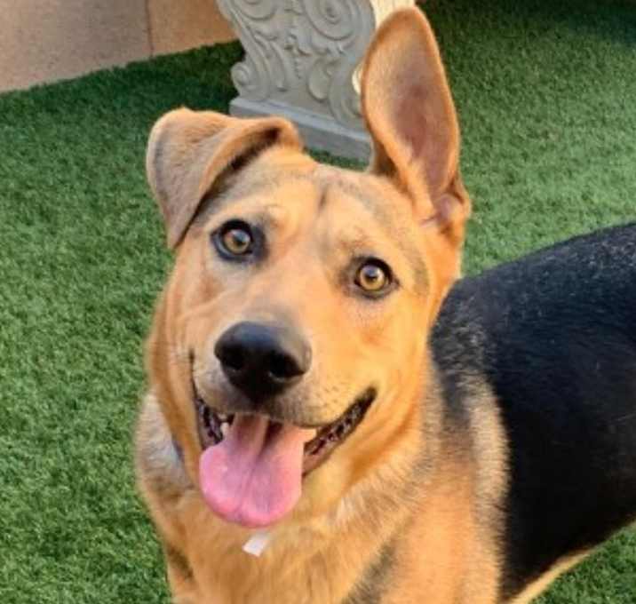 Photo of URGENT! Save Me Please