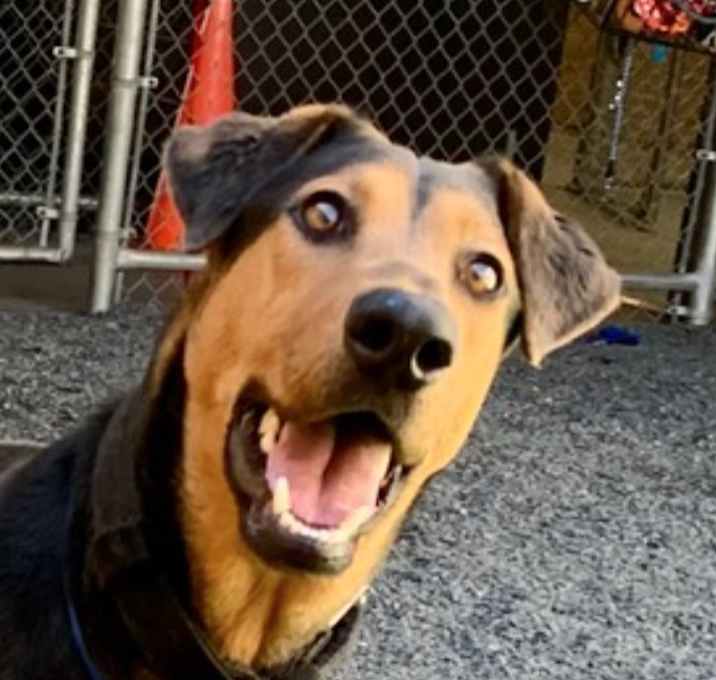 Photo of URGENT! Save Me Please