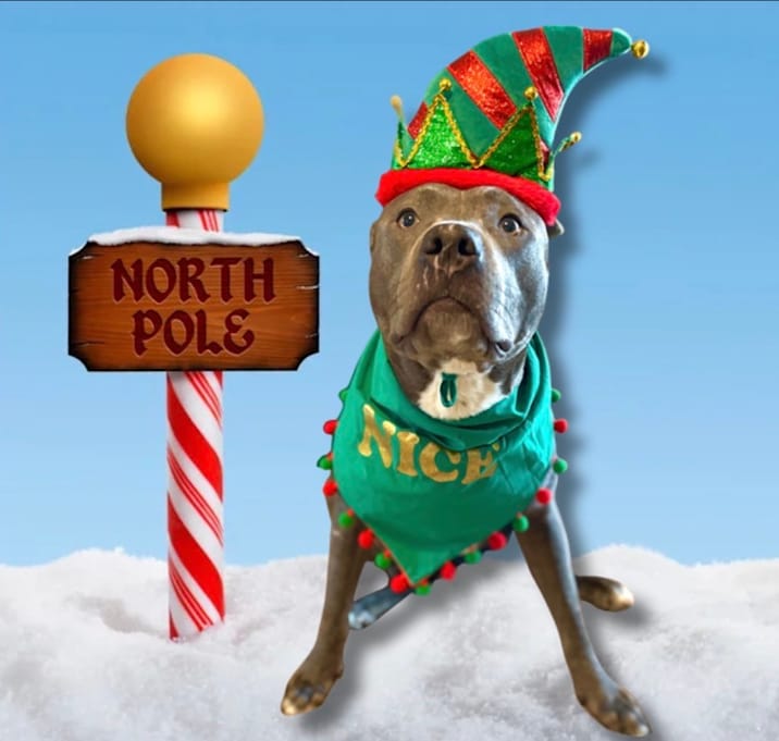 Photo of Scuba Steve