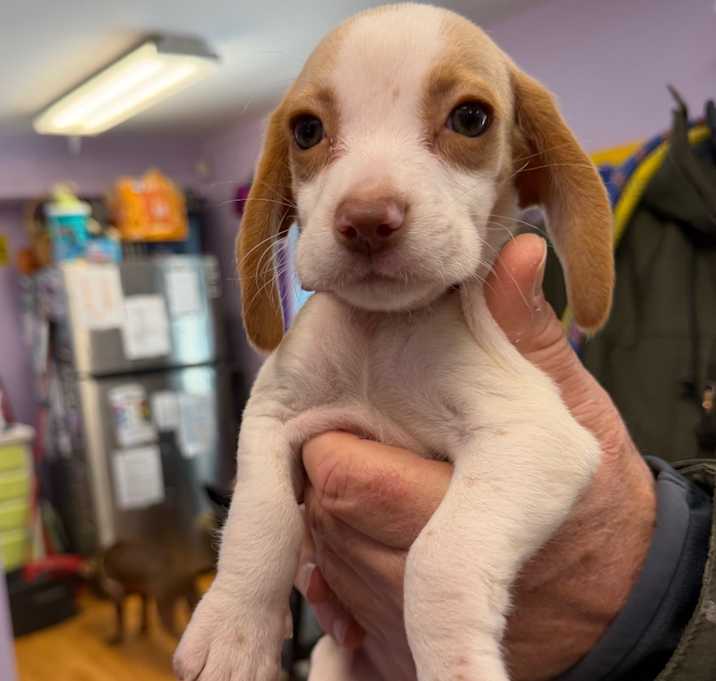 Photo of With A Twist