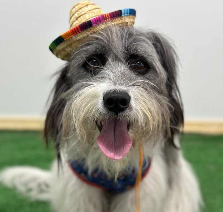 Photo of Manny(Manuelito)