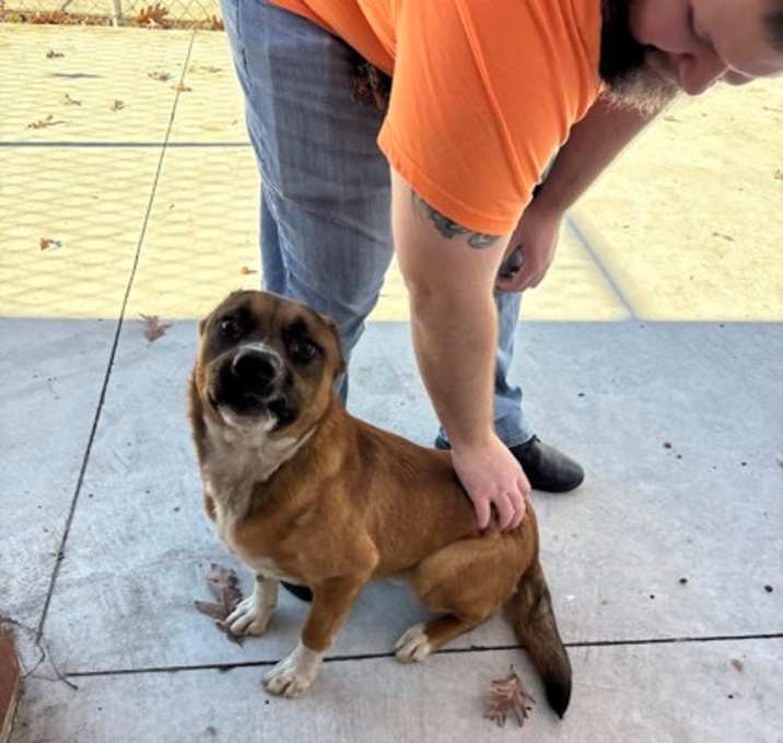 Photo of Squirrel 25-D0561