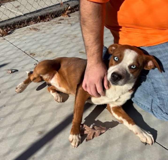 Photo of Solara 25-D0563