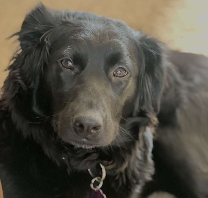 Photo of Sabrina (Bina)