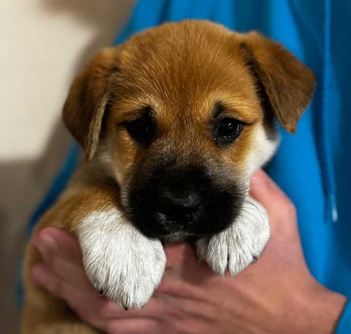 Photo of NY Sea Salt Avail Dec 27