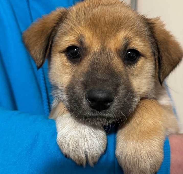 Photo of NY Coconut Avail Dec 27