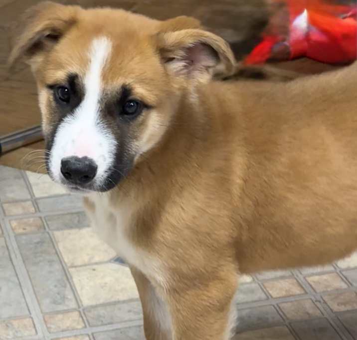 Photo of NY Tessa Avail Dec 27