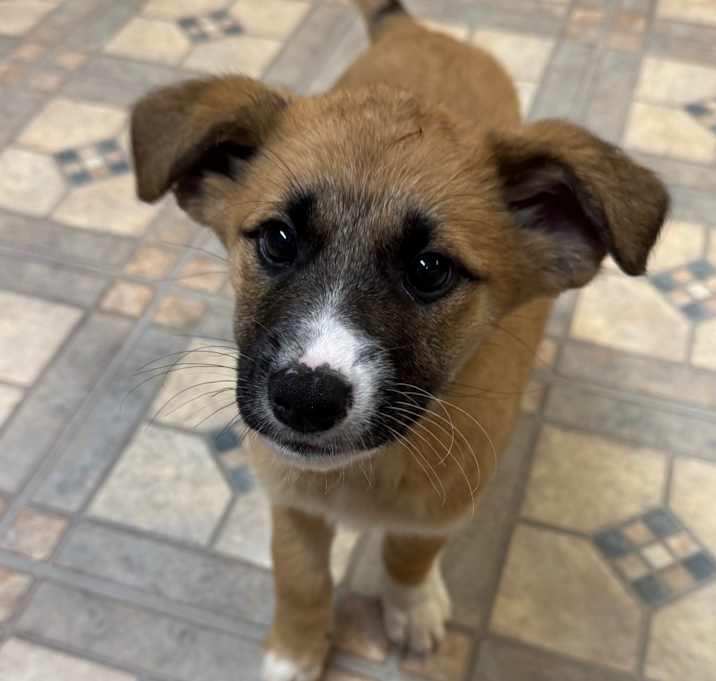 Photo of NY Tamina Avail Dec27