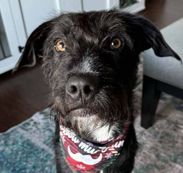 Photo of Mr. Narwhal