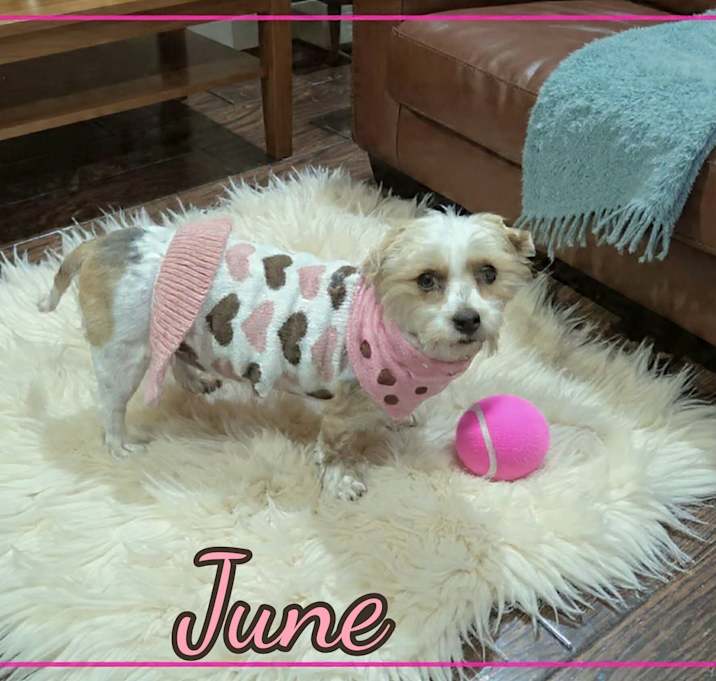 Photo of June