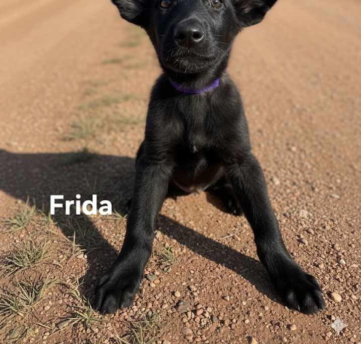 Photo of Frida