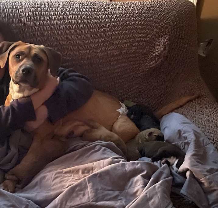 Photo of Rosita (FKA Zusie)