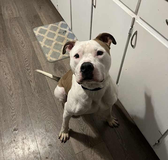 Photo of Vincent AKA Vinny