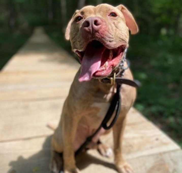 Photo of Amani (fka Zeus)