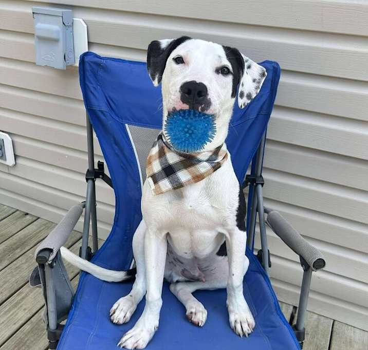 Photo of Spot (FKA Kale)