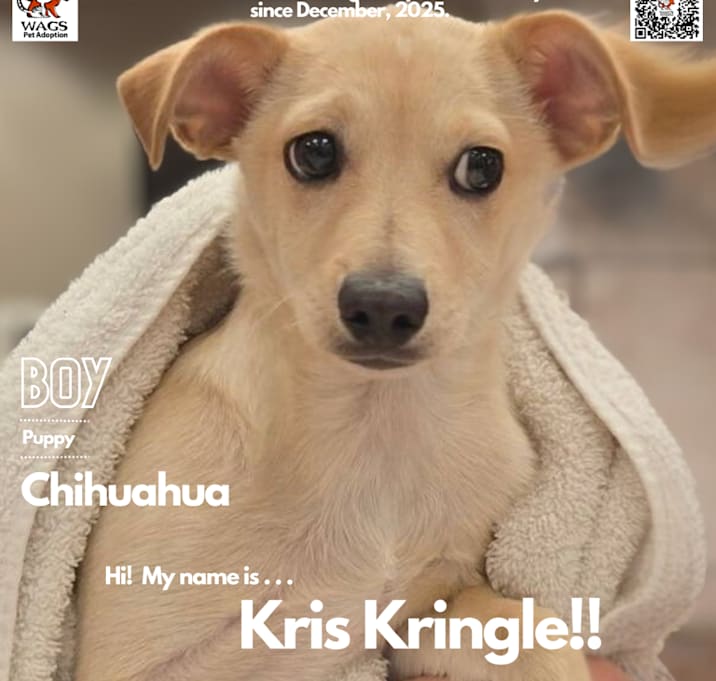 Photo of Kris Kringle 