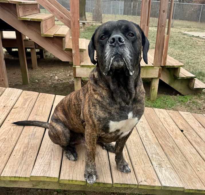 Photo of Zeus (2503493) 