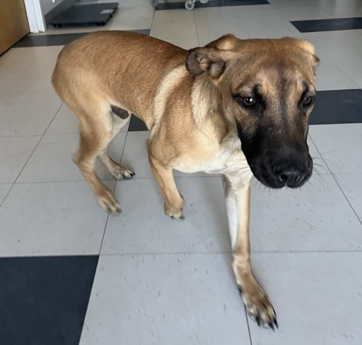 Photo of Mr. Sandman