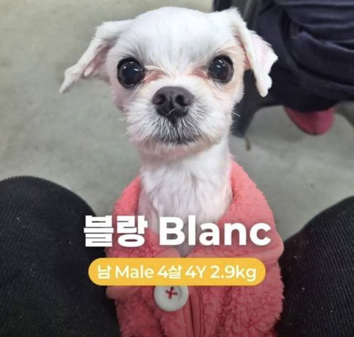 Photo of BLANC