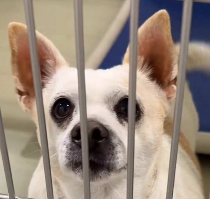 Photo of Cousin Eddie