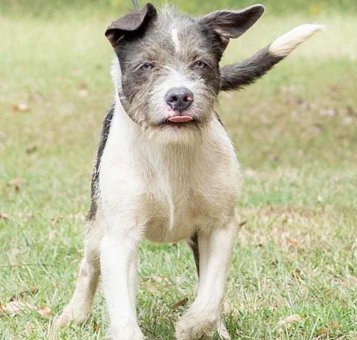 Photo of McGraw - KA