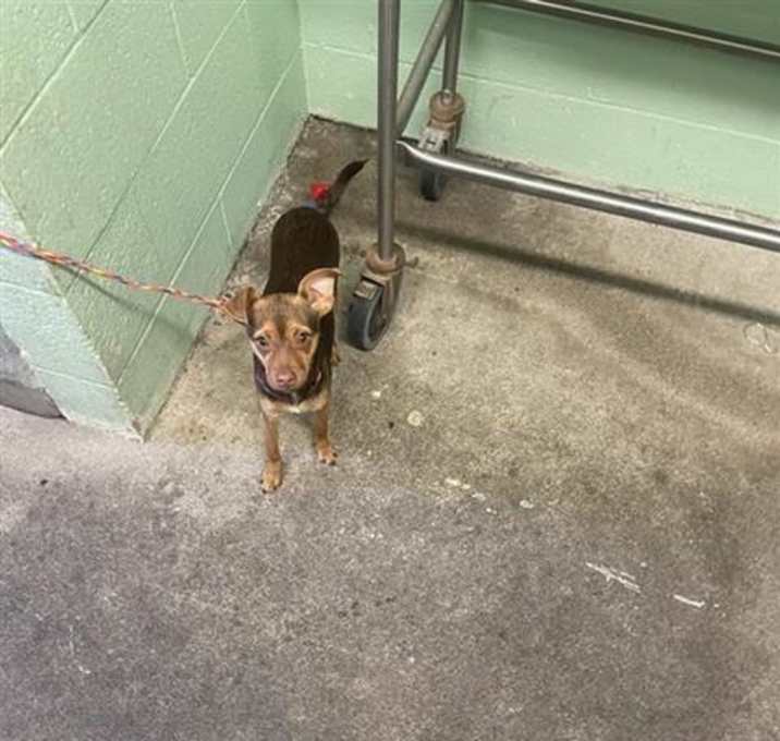 Photo of MISTER REGNALD BROWN