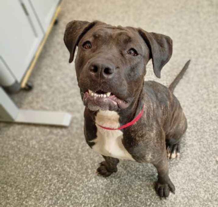 Photo of Wendy Darling