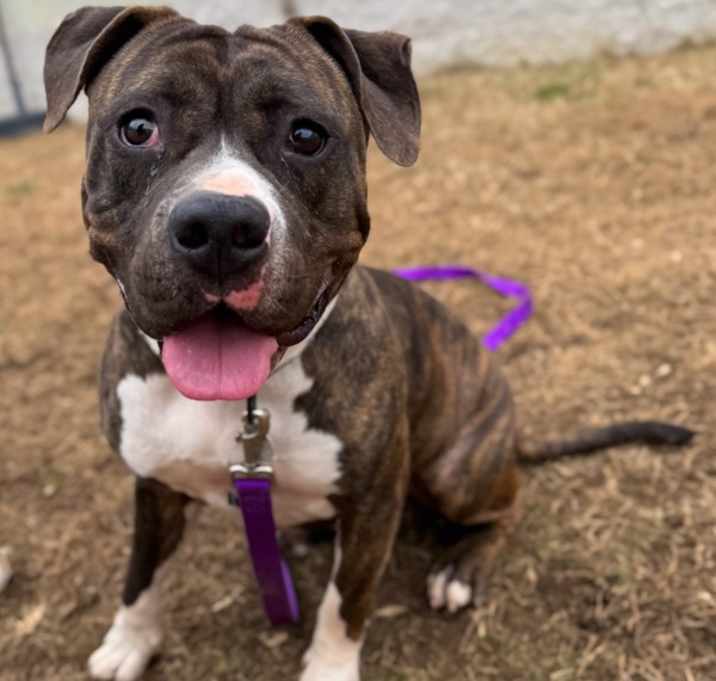 Photo of Bug Eyed Frank