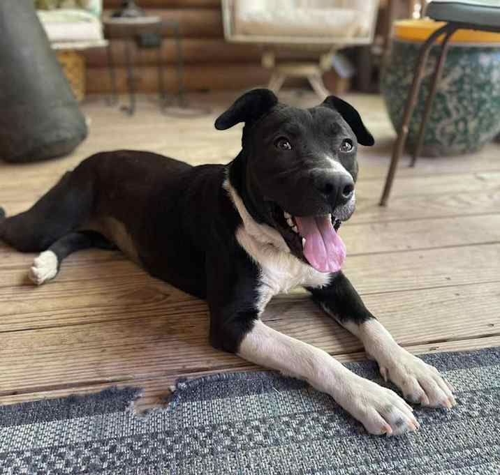 Photo of Shawna - KA