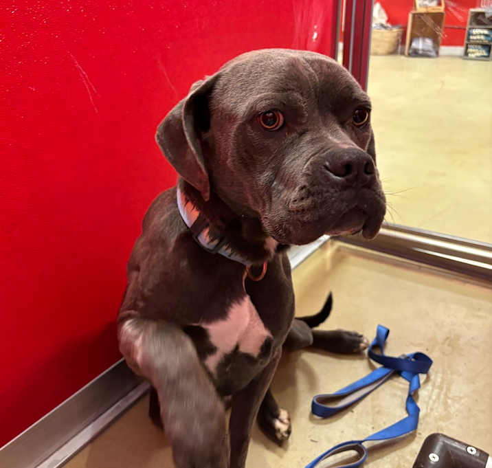 Photo of Sir Reginald