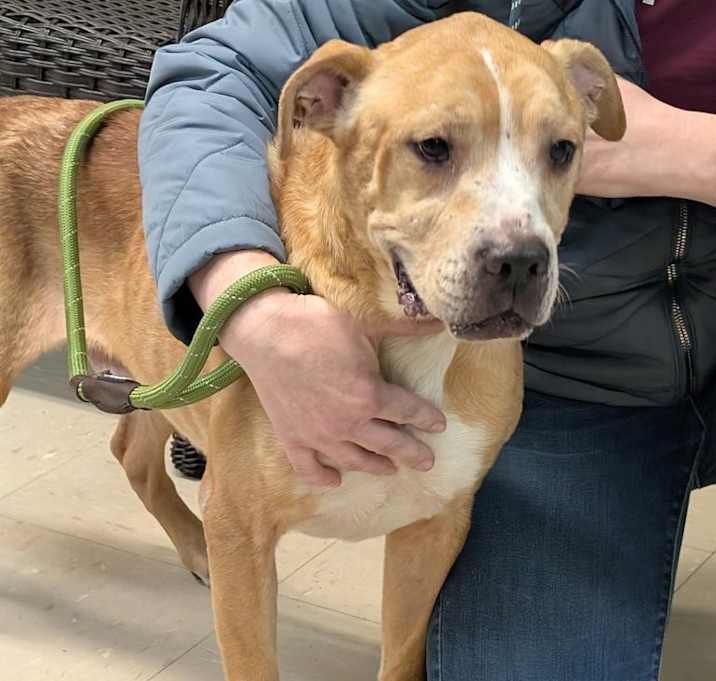 Photo of Miss Scooby